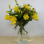 Spring Regards