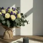 Vela Bruma Matinal