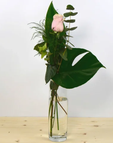 1pinkrose