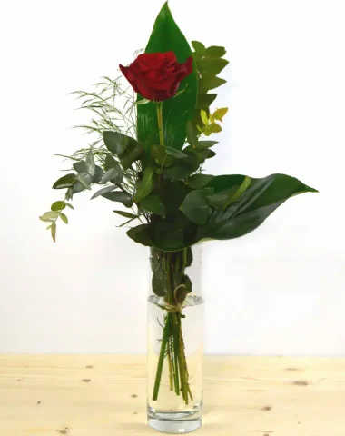 1 Red Rose