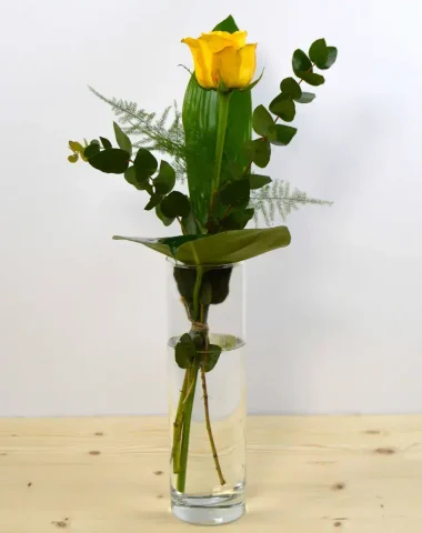 1 Yellow Rose