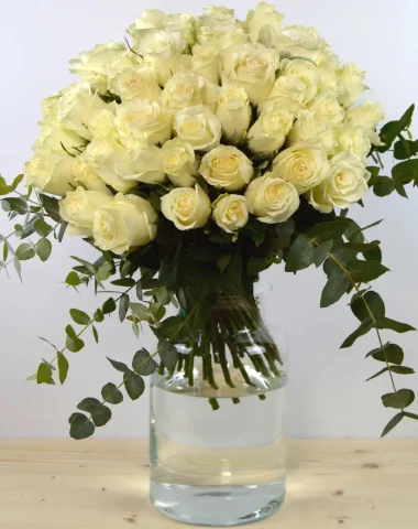 50 rosas blancas
