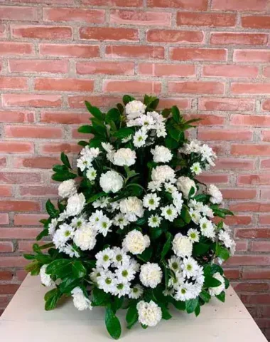 UNADJUSTEDNONRAW_thumb_6aa-min