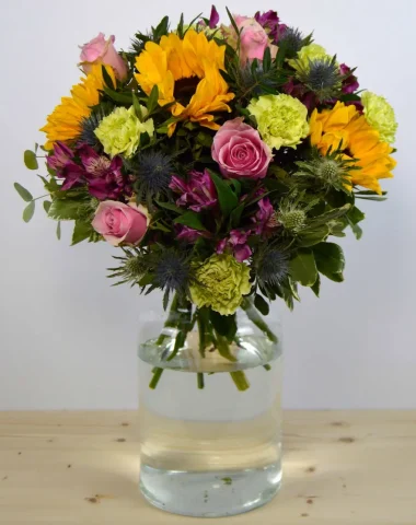 bloomeddawn