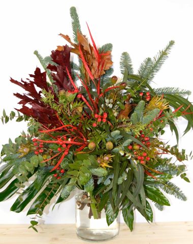 christmasjungle-min-scaled-1.jpg