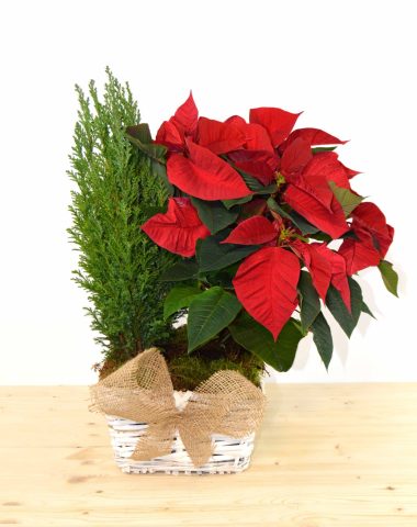 duonavideño-min