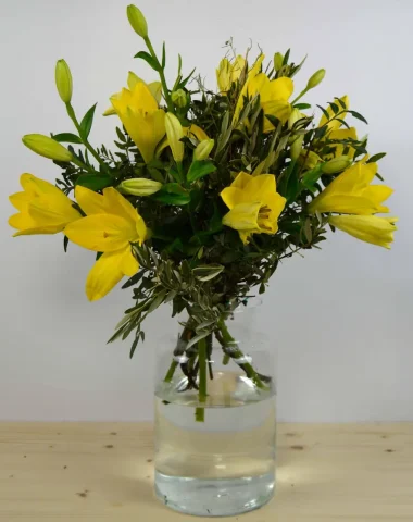 springregards