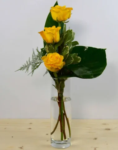 Yellow Triplet